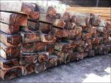 Продам красное дерево
