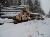 Вологодский качественный круглый лес